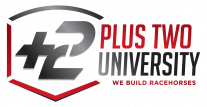 Plus 2 Univeristy